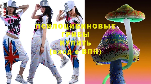 МДПВ Медвежьегорск