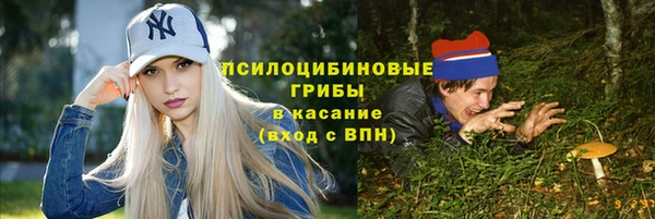 МДПВ Медвежьегорск
