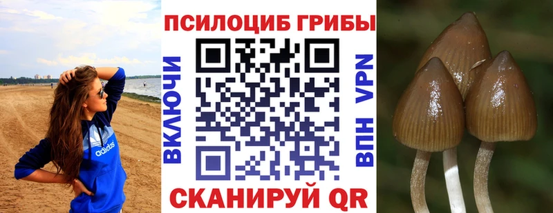 Галлюциногенные грибы Magic Shrooms купить наркоту Тбилисская
